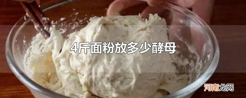 4斤面粉放多少酵母