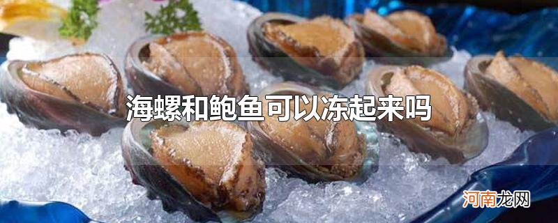 海螺和鲍鱼可以冻起来吗