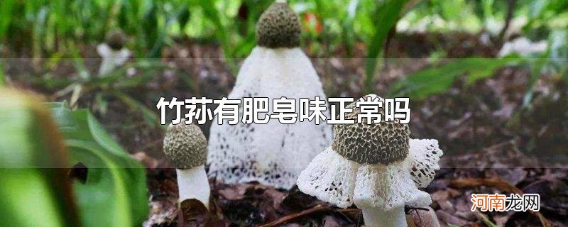 竹荪有肥皂味正常吗