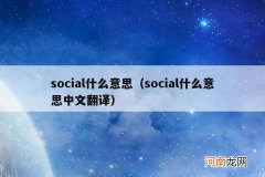 social什么意思中文翻译 social什么意思