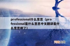 professional是什么意思中文翻译是什么意思啊了 professional什么意思