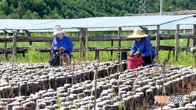 学生回村创业有扶持吗吗 大学生回乡创业政府有哪些扶持政策