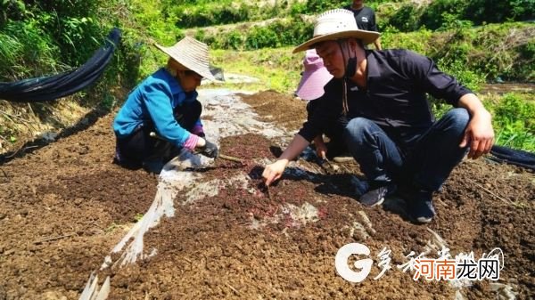 黄平县返乡创业扶持政策 返乡农民工创业政府优惠政