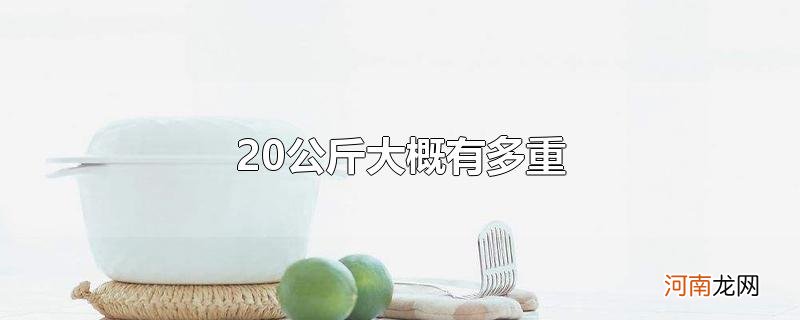 20公斤大概有多重