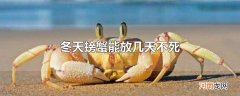 冬天螃蟹能放几天不死