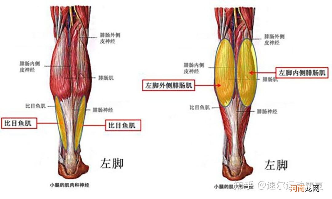 小腿酸痛是怎么回事 小孩小腿酸痛是怎么回事