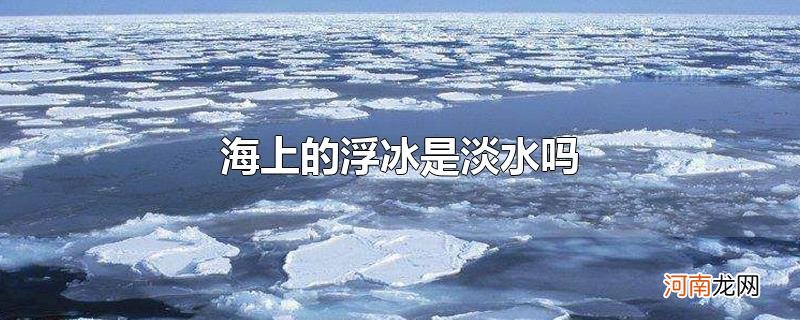 海上的浮冰是淡水吗