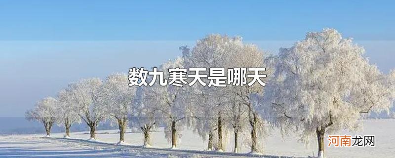 数九寒天是哪天