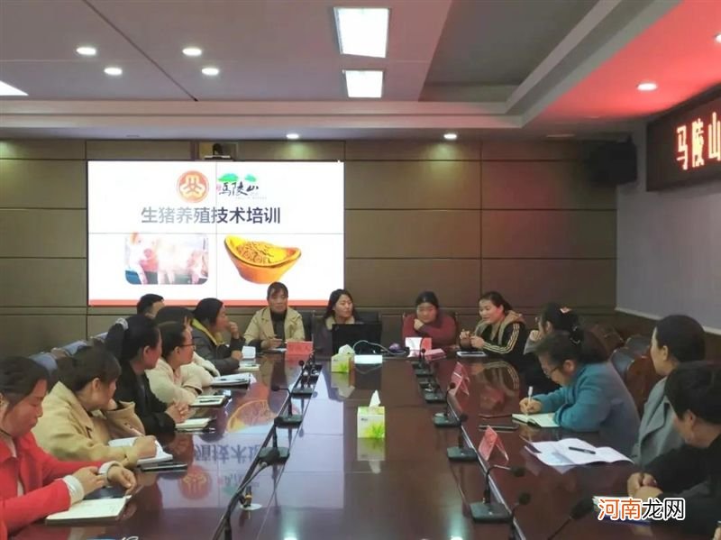 新沂创业扶持预算 临沂创业补贴申请流程