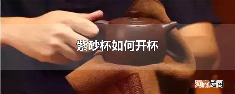 紫砂杯如何开杯