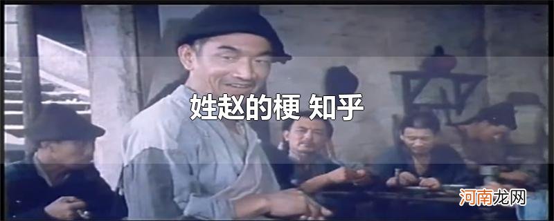 姓赵的梗 知乎