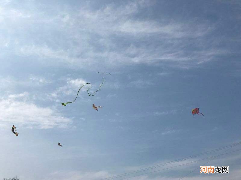 风筝怎么放飞起来 风筝怎么放飞起来技巧视频