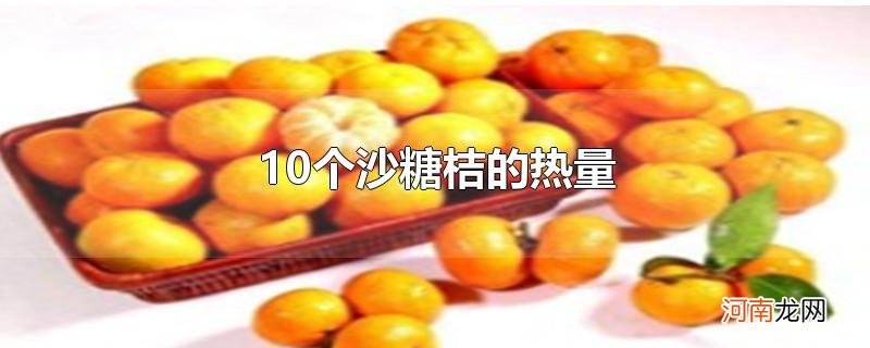 10个沙糖桔的热量