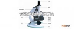 显微镜物镜目镜口诀