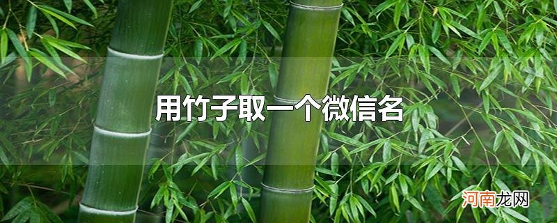 用竹子取一个微信名