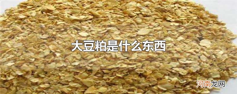 大豆粕是什么东西