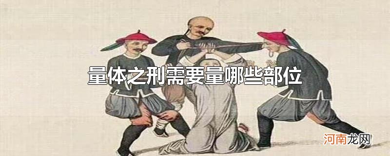 量体之刑需要量哪些部位