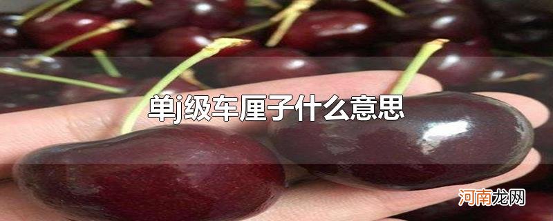 单j级车厘子什么意思