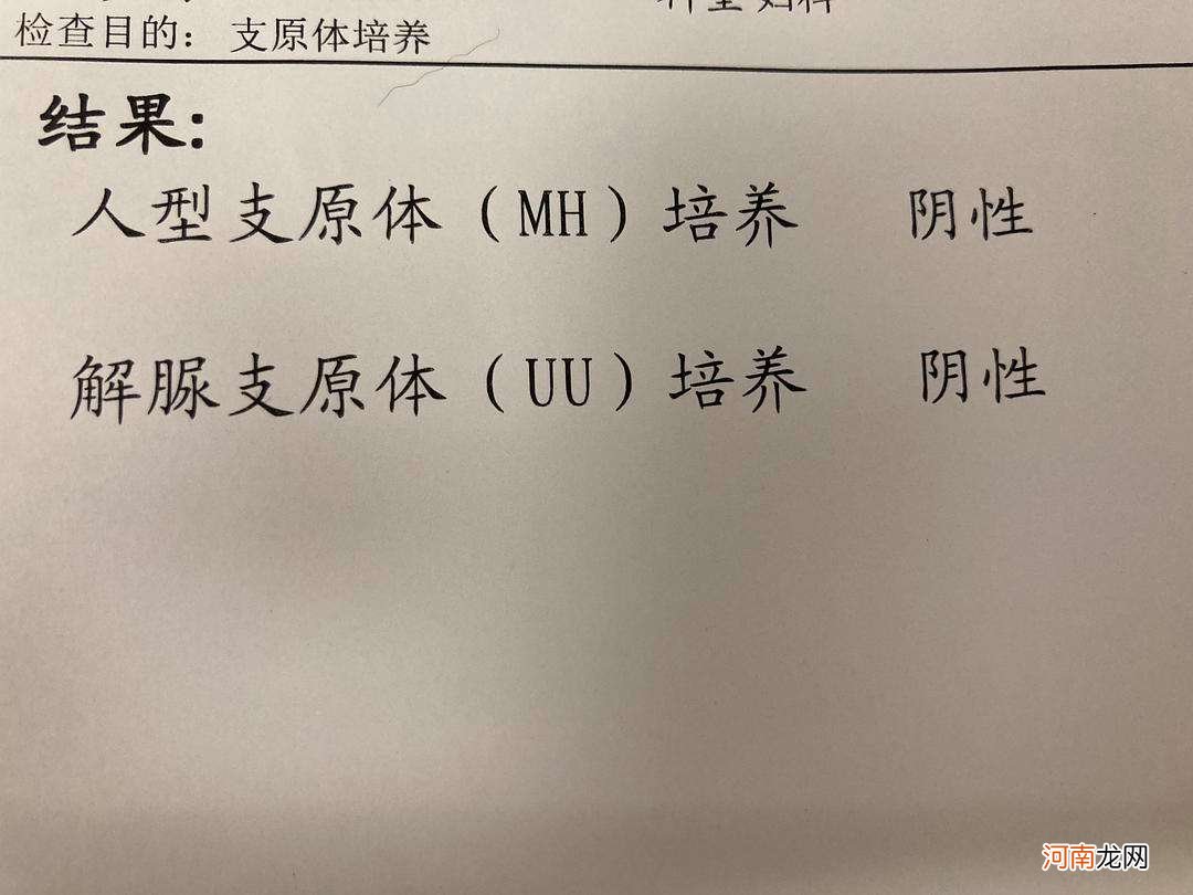 支原体感染怎么引起的 下面支原体感染怎么引起的