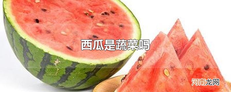 西瓜是蔬菜吗