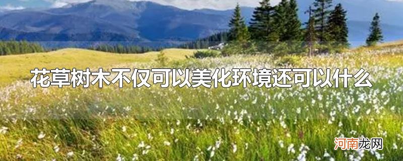 花草树木不仅可以美化环境还可以什么