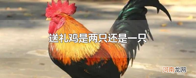 送礼鸡是两只还是一只