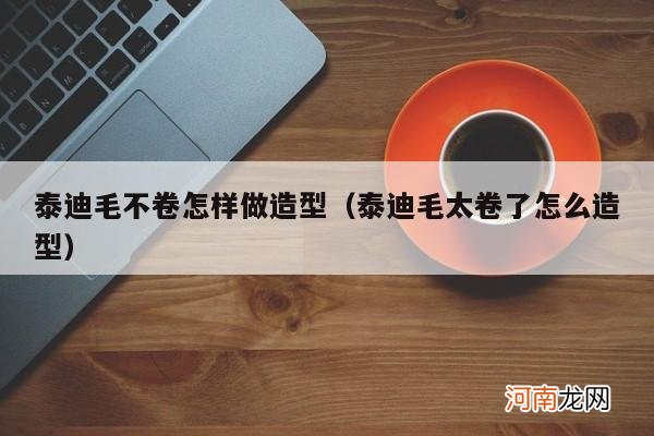 泰迪毛太卷了怎么造型 泰迪毛不卷怎样做造型