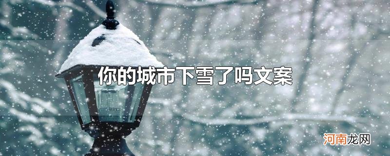 你的城市下雪了吗文案