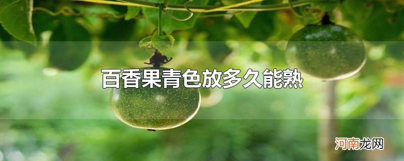 百香果青色放多久能熟