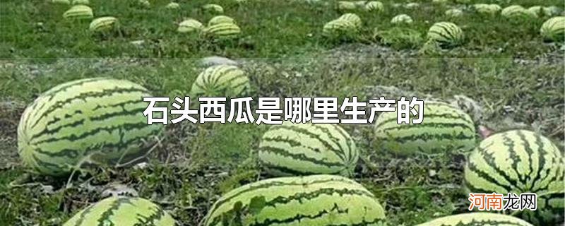 石头西瓜是哪里生产的