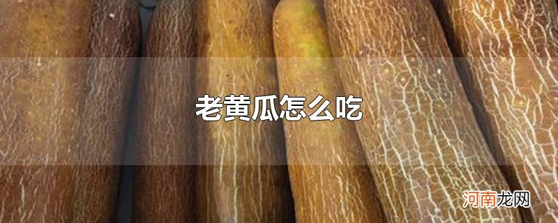 老黄瓜怎么吃