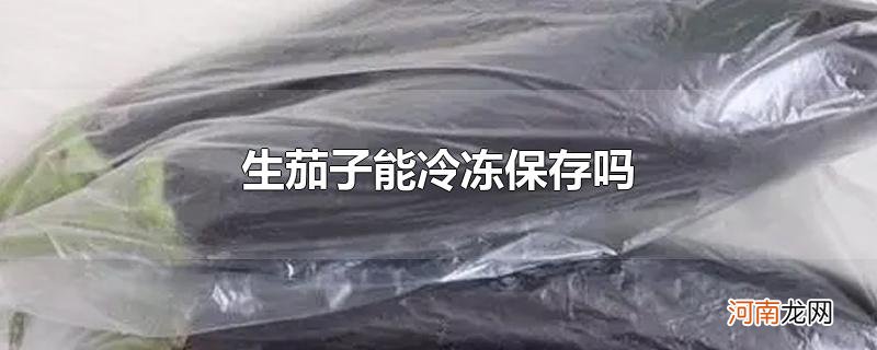 生茄子能冷冻保存吗