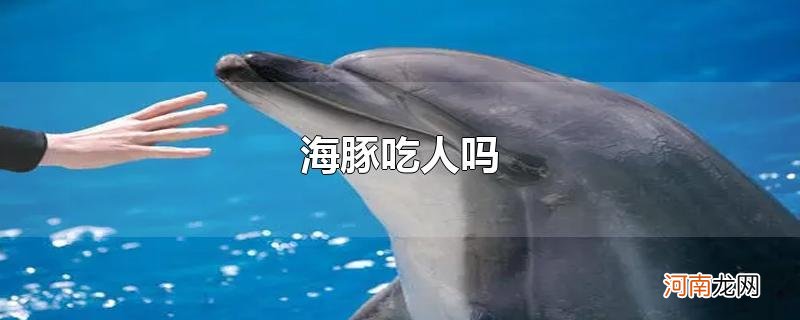 海豚吃人吗