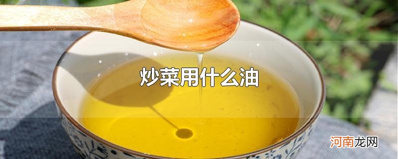 炒菜用什么油