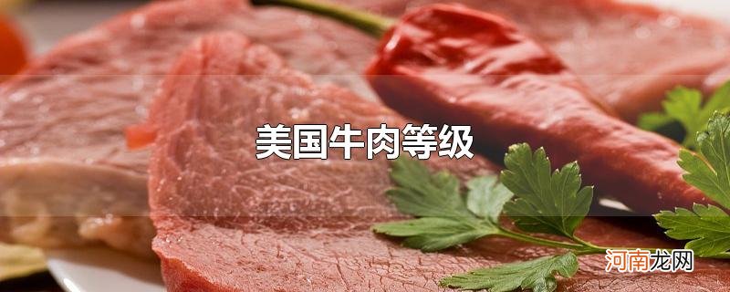 美国牛肉等级