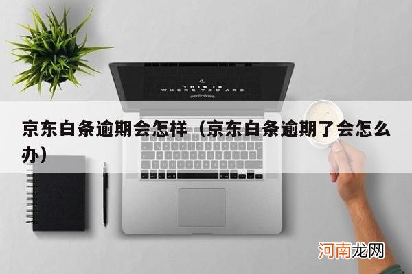 京东白条逾期了会怎么办 京东白条逾期会怎样