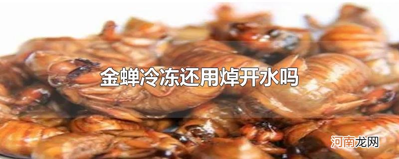 金蝉冷冻还用焯开水吗