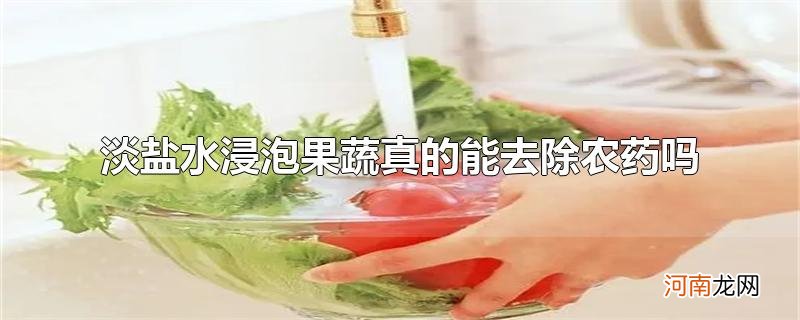 淡盐水浸泡果蔬真的能去除农药吗