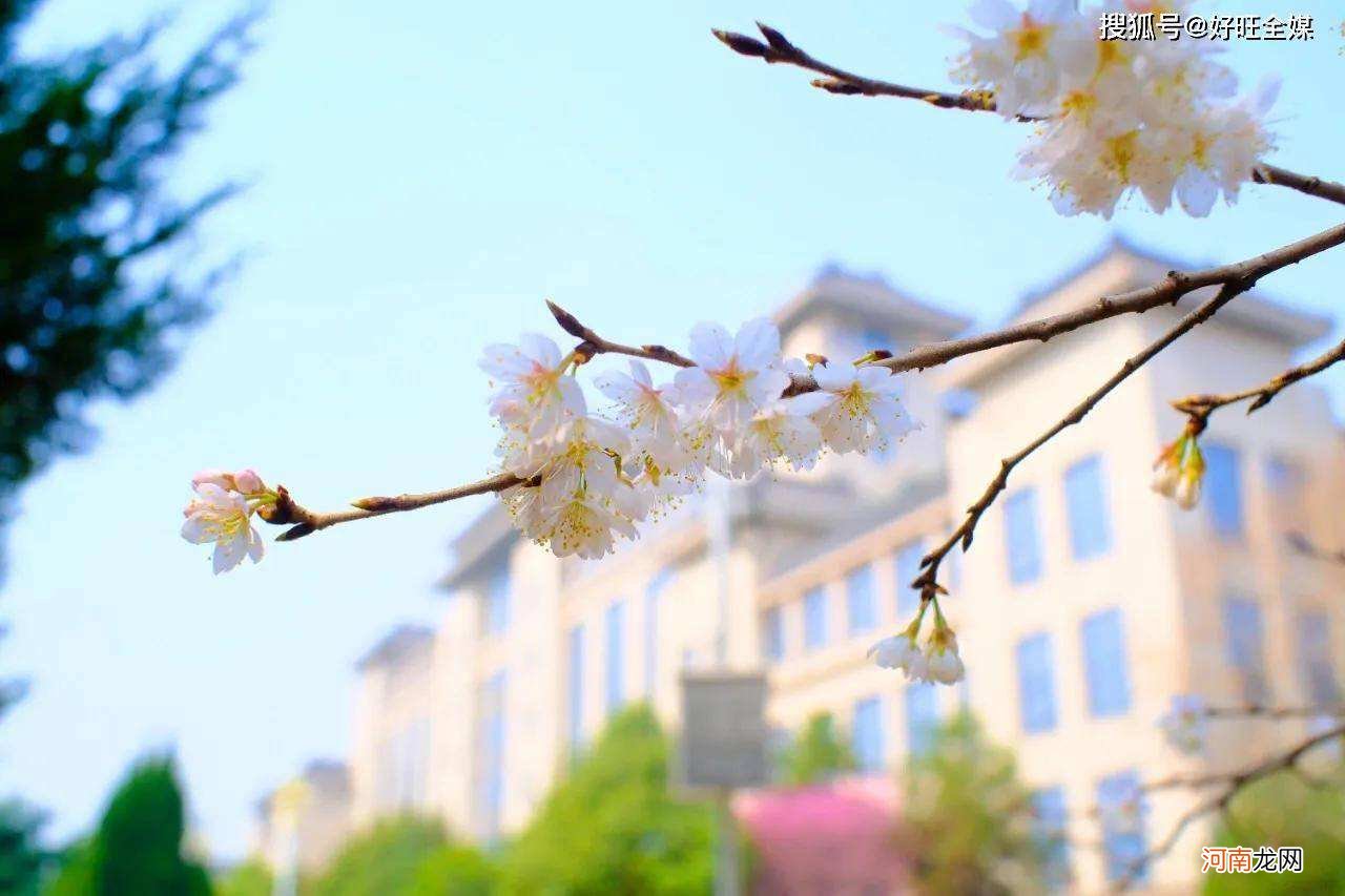 陕西师范大学怎么样 陕西师范大学怎么样知乎