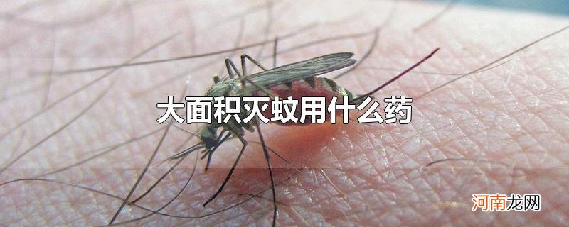大面积灭蚊用什么药