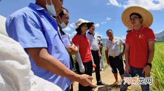 大化县回乡创业扶持政策 大化乡村振兴建设项目农民工创业园