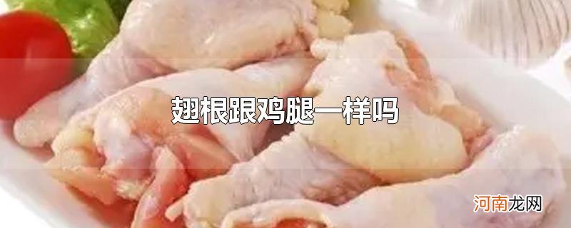 翅根跟鸡腿一样吗