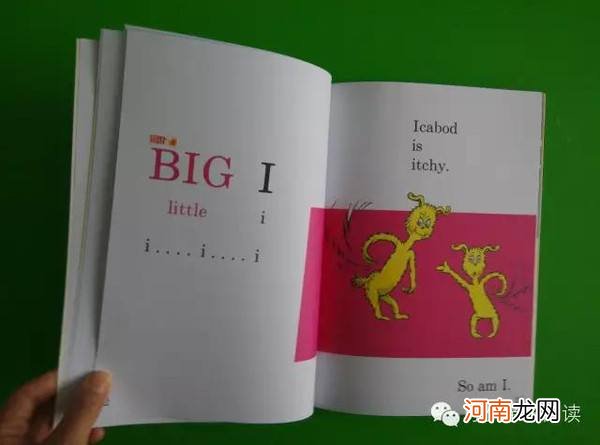 ear怎么读 ear怎么读音发音 音标