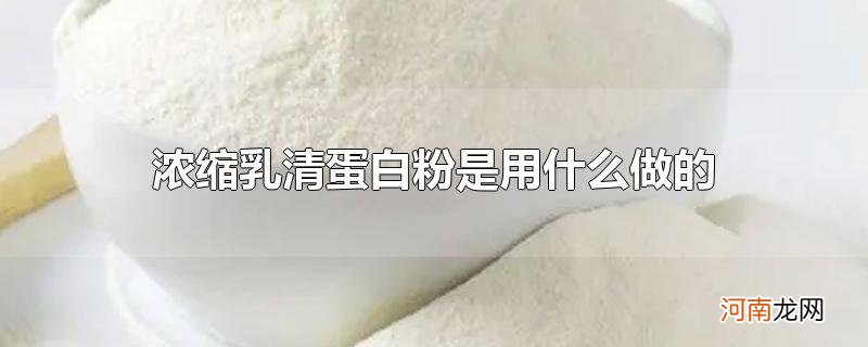 浓缩乳清蛋白粉是用什么做的