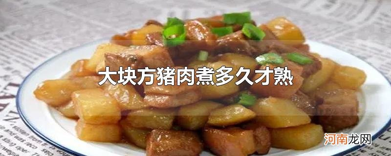 大块方猪肉煮多久才熟