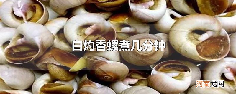 白灼香螺煮几分钟