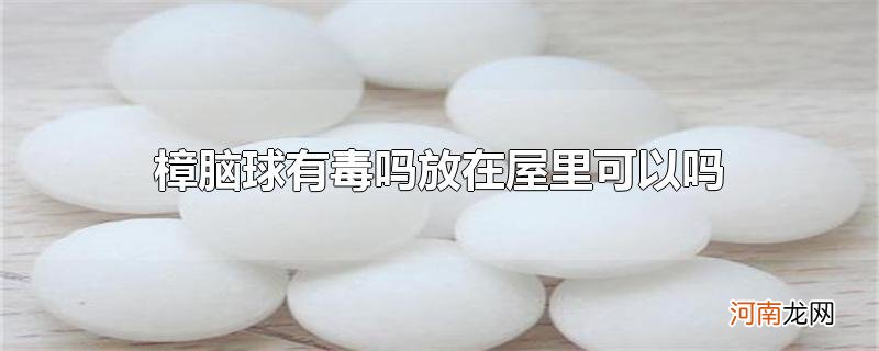 樟脑球有毒吗放在屋里可以吗