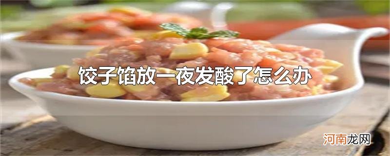 饺子馅放一夜发酸了怎么办