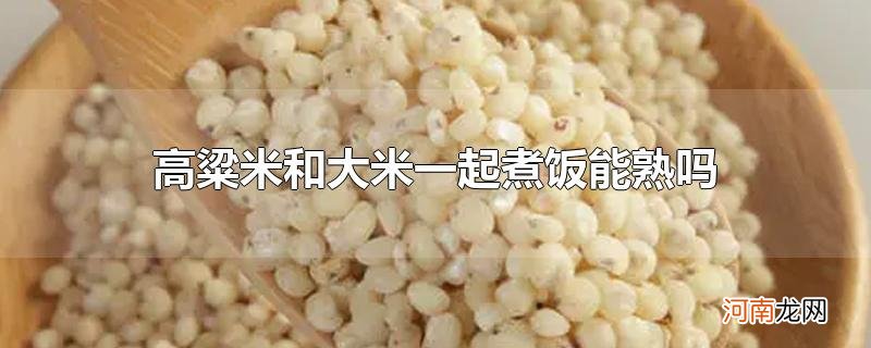 高粱米和大米一起煮饭能熟吗