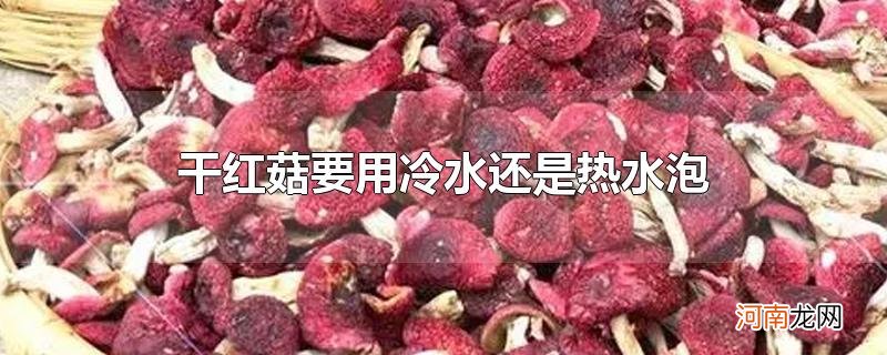 干红菇要用冷水还是热水泡